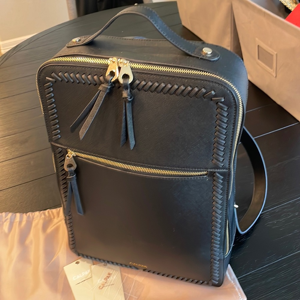 Calpak Black Backpack- great for commuters!